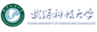 Wuhan University of Science and Technology
